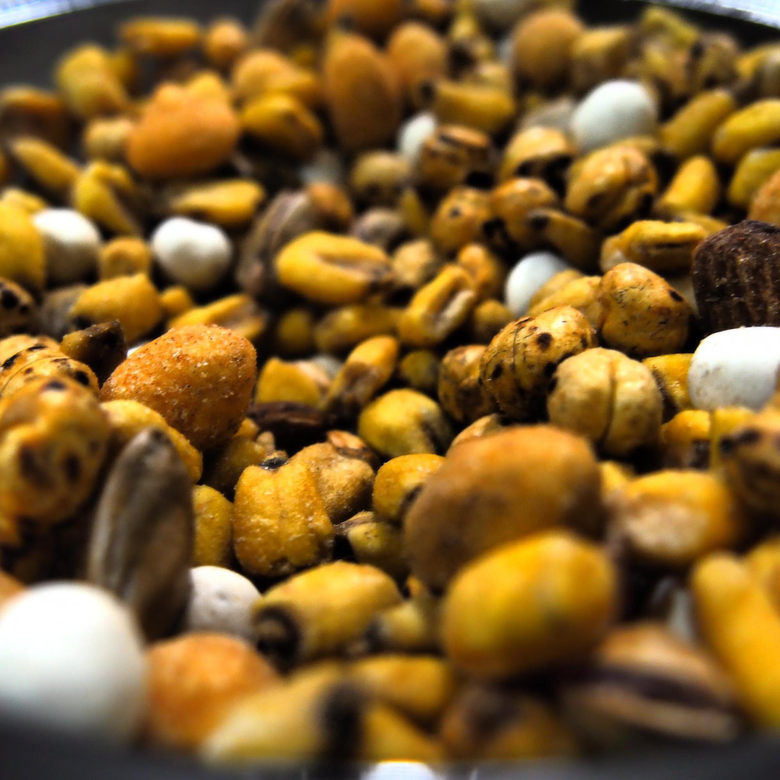 featured image 1773579641