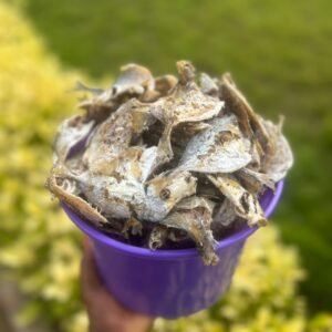 Dzodzovi Blue bucket (1.5kg)